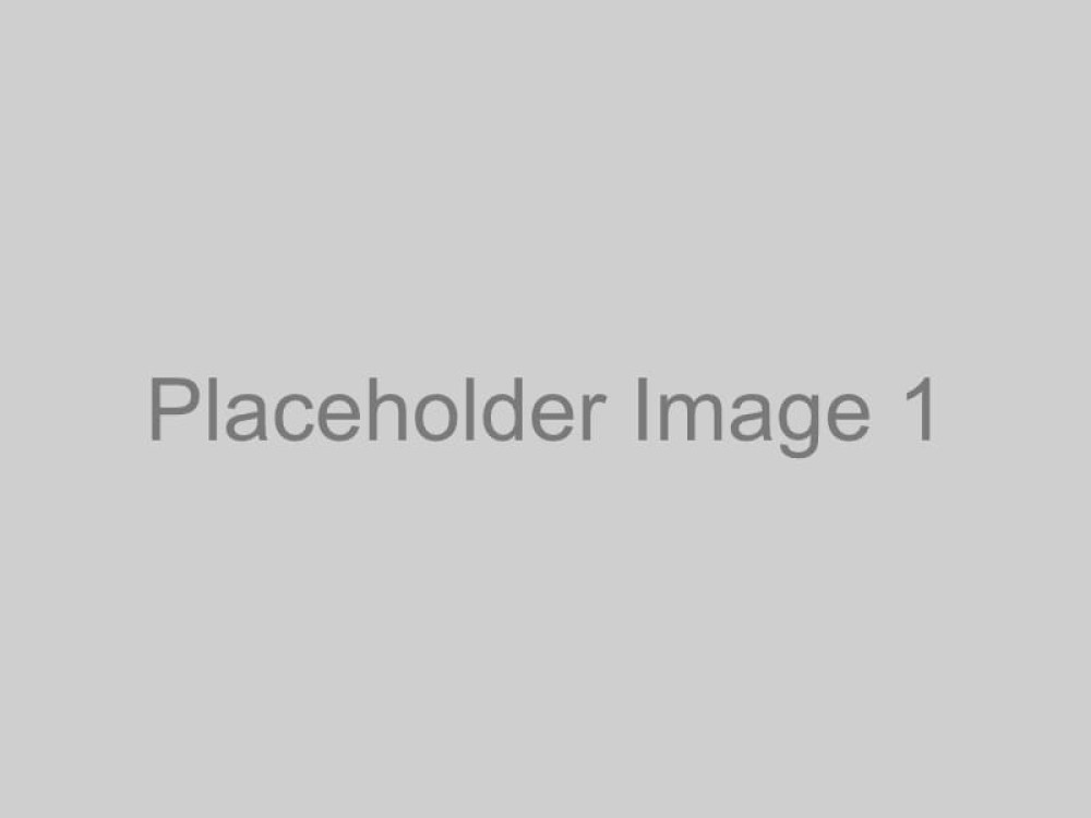 Placeholder Image 1