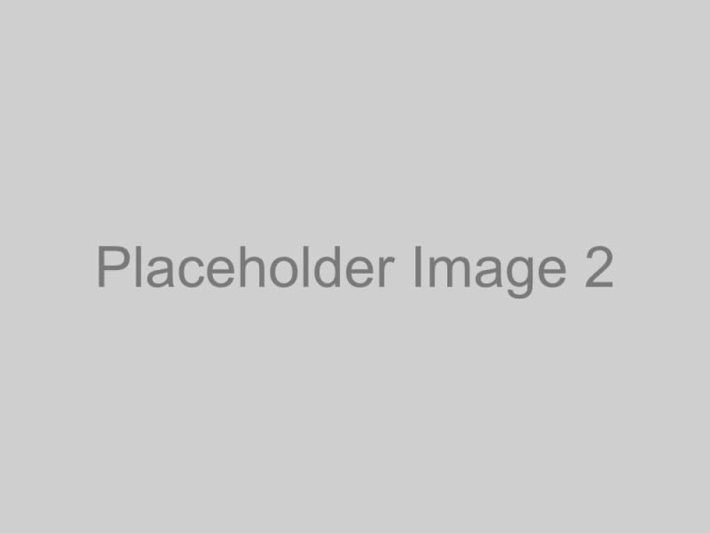 Placeholder Image 2